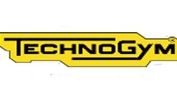 Conserto de Esteiras em BH Placas de esteiras belo horizonte